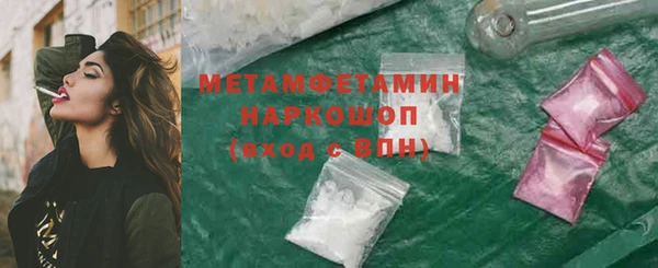 шишки Аркадак