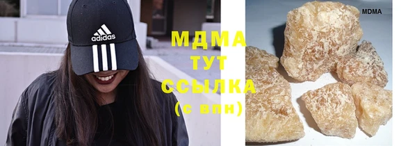 шишки Аркадак