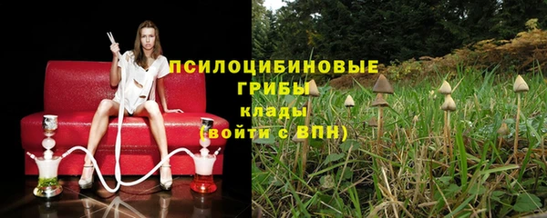 шишки Аркадак