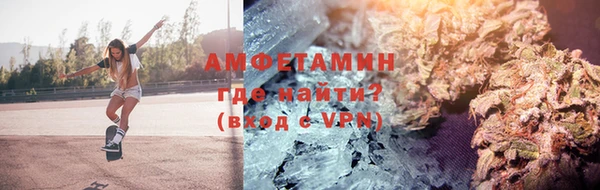 шишки Аркадак