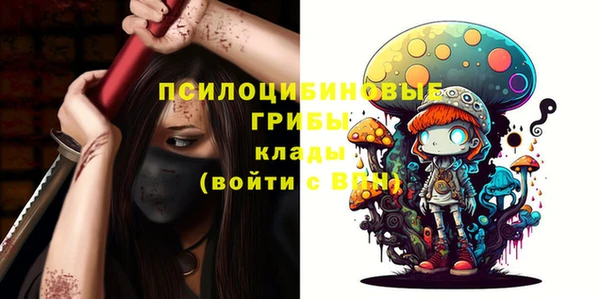 шишки Аркадак