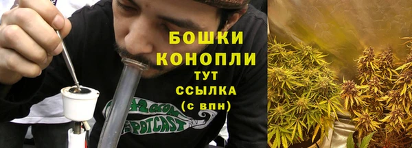 шишки Аркадак