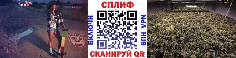хочу   Нижний Ломов  ОМГ ОМГ сайт  Марихуана индика 